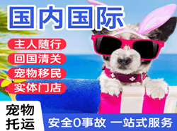 鄂州花湖机场空运国际宠物托运 【国